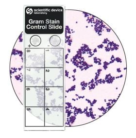 Gram Stain Control Slides, 50 slides/box