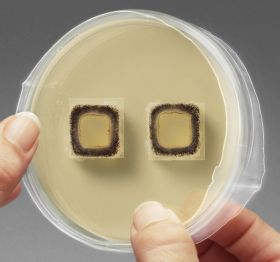 Petri Dish Shrink Seals